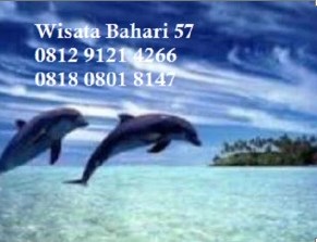 Wisata Bahari Pulau Seribu 57